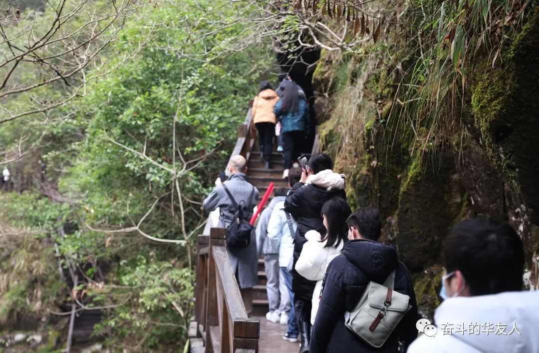 “桐”在一起，，“衢”味横生，，“非”常精彩！-文化活动-浙江华友钴业股份有限公司