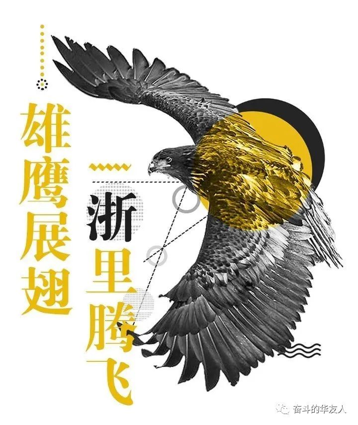 雄鹰，，，，，青云直上！-企业新闻-浙江华友钴业股份有限公司