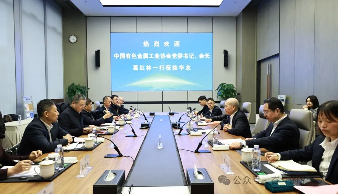 Ge Honglin, the Party Secretary and President of the China Nonferrous Metals Industry Association, Visits the Group Headquarter for An Inspection -News Releases-Huayou New Energy Technology (Quzhou) Co., Ltd.