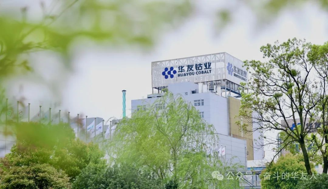Thumbs up! Another National-Level Technology Achievement -News Releases-Huayou New Energy Technology (Quzhou) Co., Ltd.