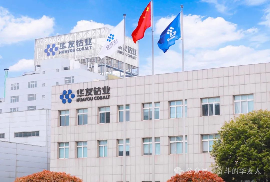蓄势赋能，，，，，推动公司高质量生长行稳致远-企业新闻-浙江华友钴业股份有限公司