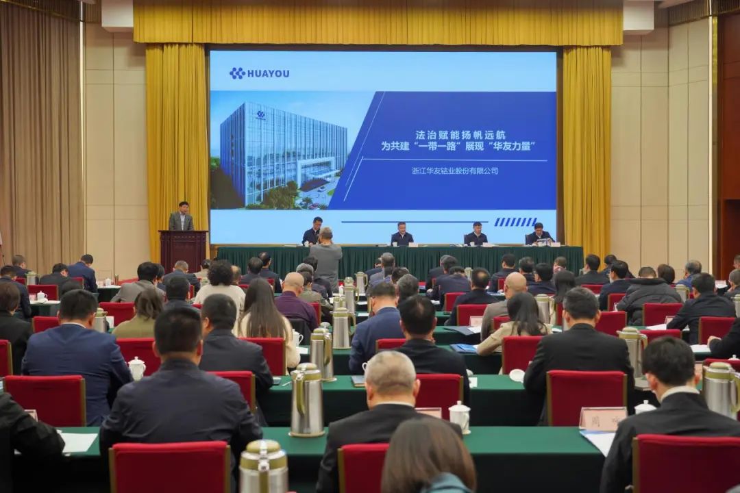法治赋能、扬帆远航，，，，为共建“一带一起”展现“华友实力”-企业新闻-浙江华友钴业股份有限公司