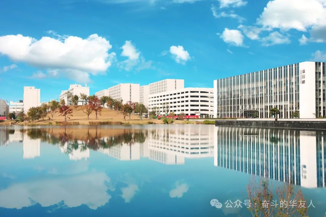 Golden Bull Award!-News Releases-Huayou New Energy Technology (Quzhou) Co., Ltd.