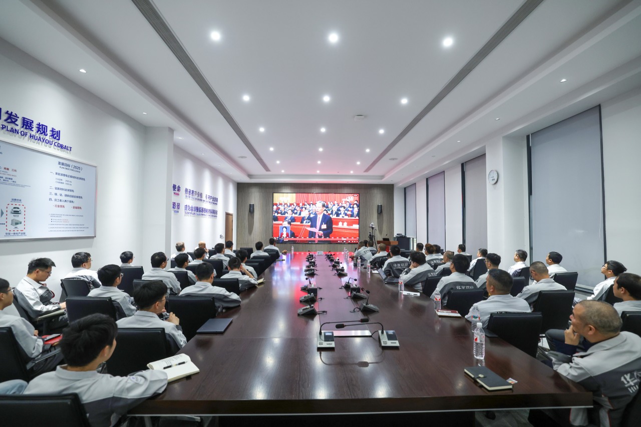 聚焦两会 | 集团组织员工收看第十四届天下人民代表大会第三次聚会开幕会-企业新闻-浙江华友钴业股份有限公司