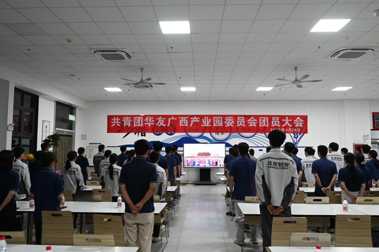 华友广西工业园团委召开团员大会暨五四表扬聚会-团委活动-浙江华友钴业股份有限公司