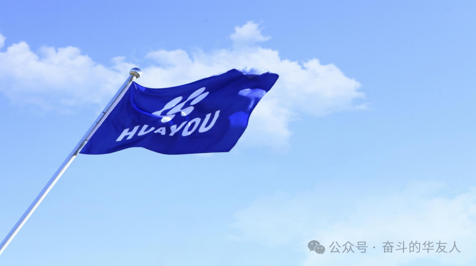 International ESG Honor! Huayou Cobalt Successfully Selected for S&P Global's "Sustainability Yearbook (China Edition) 2025"-News Releases-Huayou New Energy Technology (Quzhou) Co., Ltd.