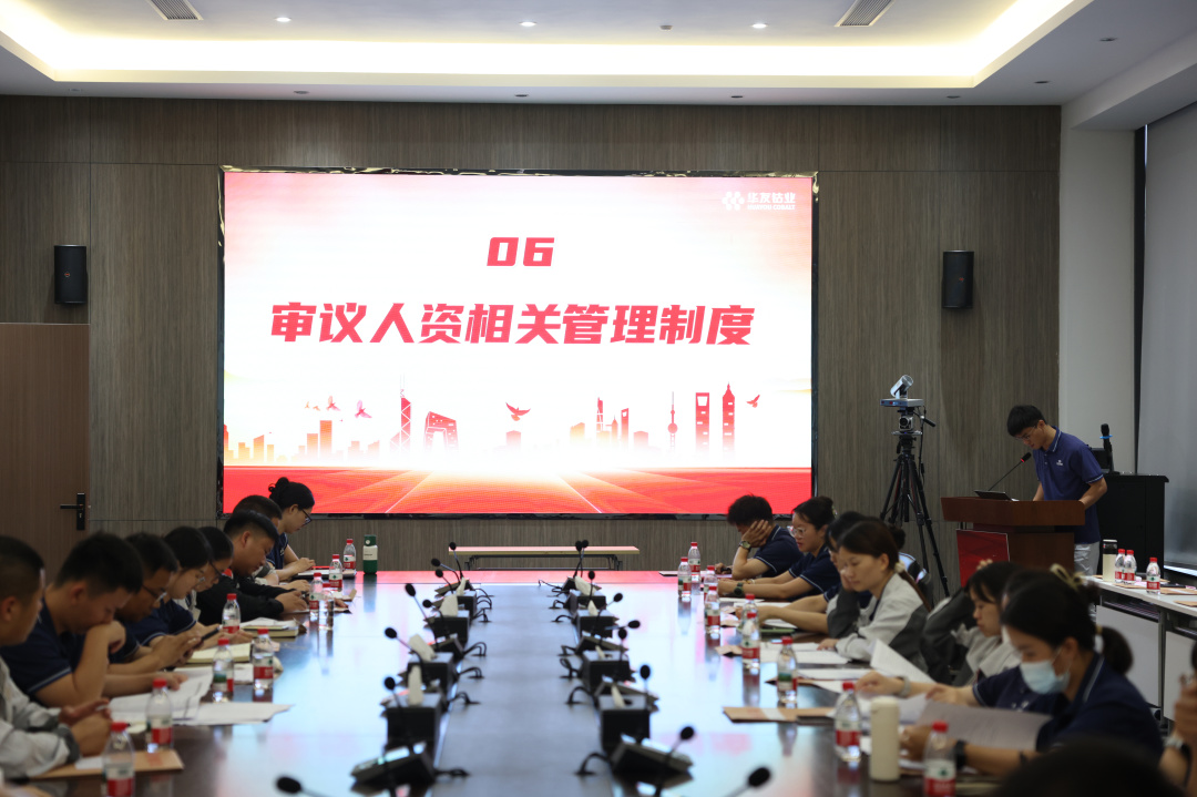 广西华友工程项目治理有限公司 第一届工会会员代表暨职工代表第三次聚会顺遂召开-活动组织-浙江华友钴业股份有限公司