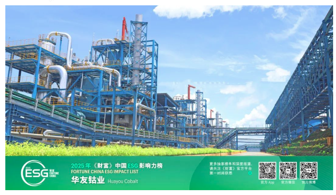 以责任引领行业，，，，用行动界说未来——华友钴业荣登2025年《财产》中国ESG影响力榜-企业新闻-浙江华友钴业股份有限公司