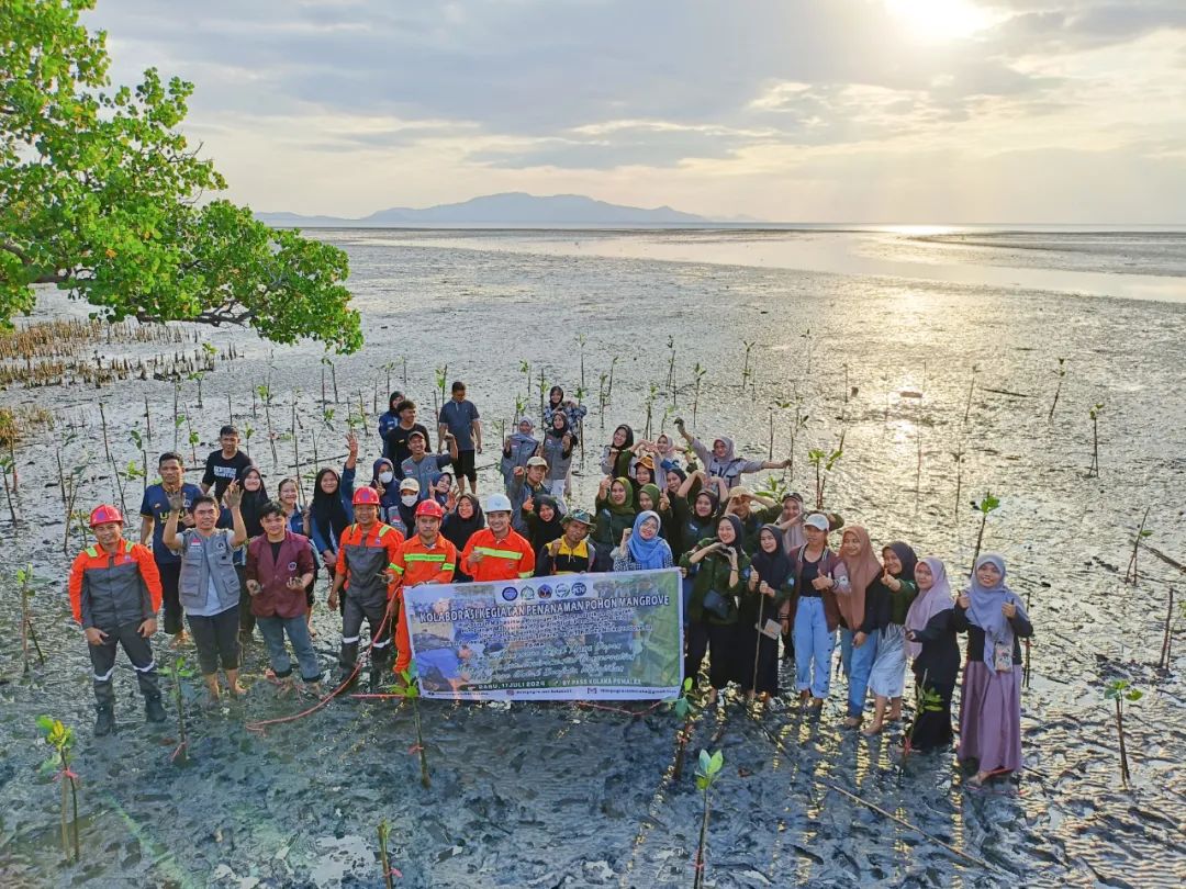 Huayou Cobalt's Mangrove Conservation in Indonesia: ESG Practices and a Path to Ecological Synergy-News Releases-Huayou New Energy Technology (Quzhou) Co., Ltd.