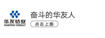 Huayou Cobalt Selected as an Innovative Case of Business for Good 2025-News Releases-Huayou New Energy Technology (Quzhou) Co., Ltd.